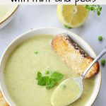 creamy zucchini soup